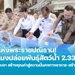 สายน้ำแห่งพระราชปณิธาน! กรมประมงปล่อยพันธุ์สัตว์น้ำ 2.33 ล้านตัว ฟื้นชีวิตเจ้าพระยา