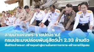 01-Cover (1)