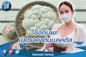 กรอบข่าว