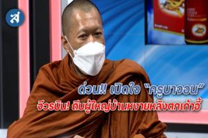 ปกไลน์31