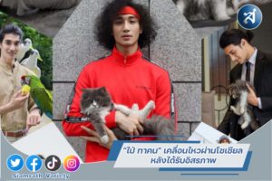 กรอบข่าวเทมเพลต3-01