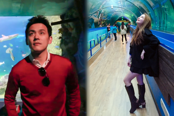 ฟลุคลี โลกใต้น้ำ ปก