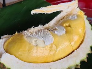 AA4E938F-C096-4195-888D-7C19C1FC84C3