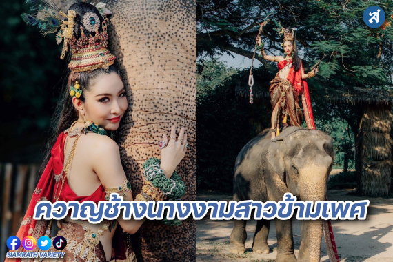 มองช้างคาเฟ่ ปก