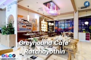 greyhound cafe cover
