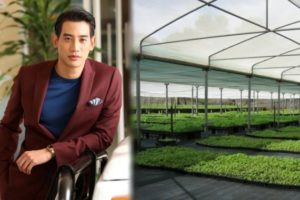 บิ๊ก จับมือ ปก