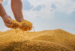 4F02862A-22B0-4C83-81E2-3A01DC432026