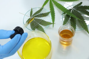 71E96BB1-CA89-4B96-8872-87396FAE753E