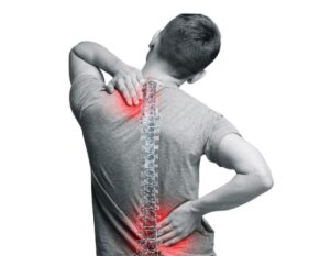 กระดูกสันหลัง 1