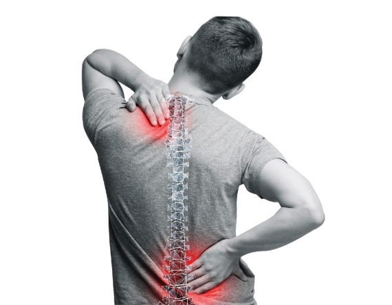 กระดูกสันหลัง 1