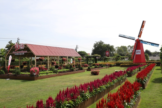 โซน 1 โซนเนเธอร์แลนด์เมืองไทย