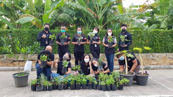 โมโน เน็กซ์ ปลูกผักสวนครัว