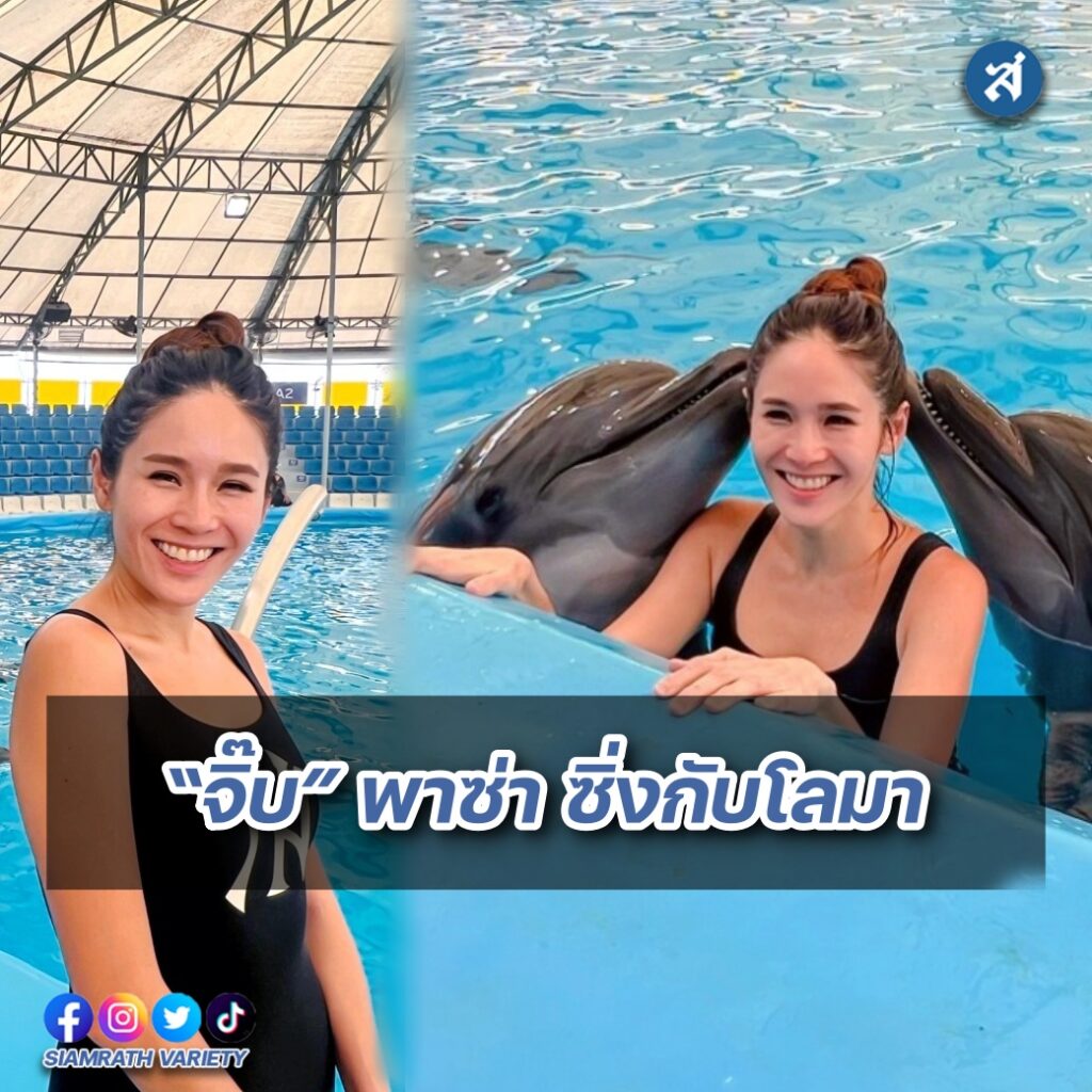 จิ๊บ ปลาโลมา ปก