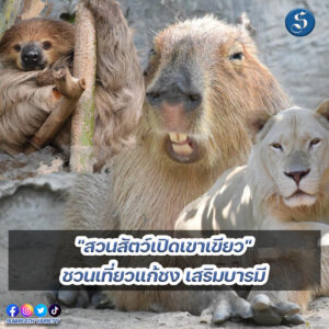8สนยนาig (33)