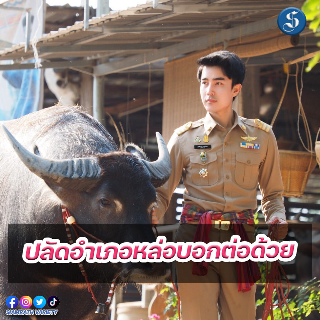 ปลัดอำเภอ