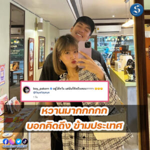 บอยเฟย์ (1)