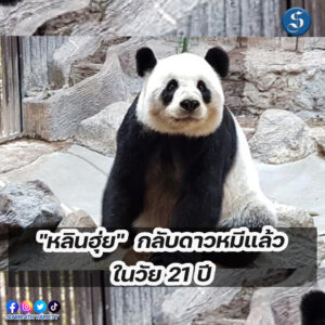 หลินฮุ่ย