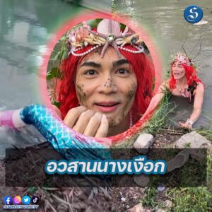 เทมเพลต psd (2)