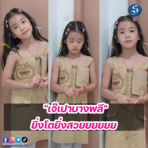 เทมเพลต psd