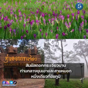 งานดอกกระเจียวบาน2566 ปก