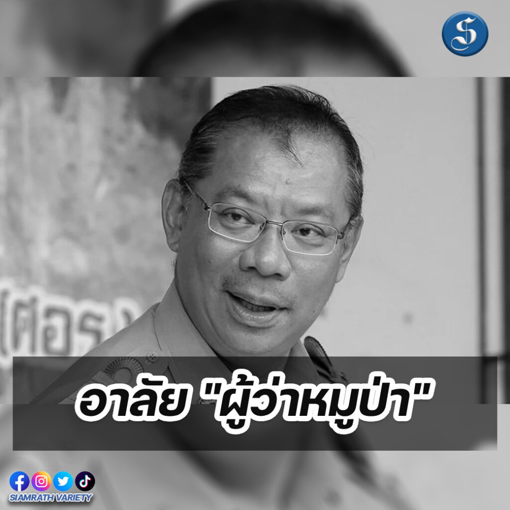 ผู้ว่าหมูป่า