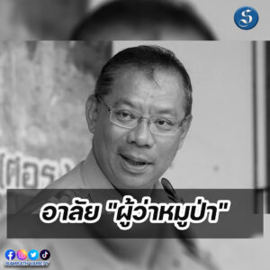 ผู้ว่าหมูป่า