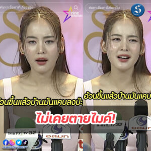 เทมเพลต psd (2) copy
