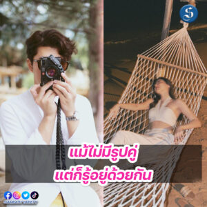 ใบเฟินนาย