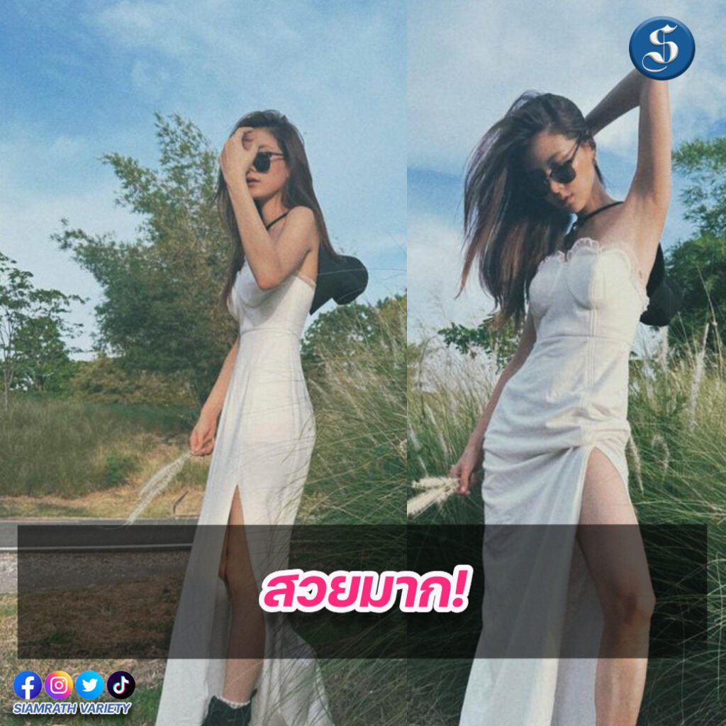 ใบเฟิร์น (3)