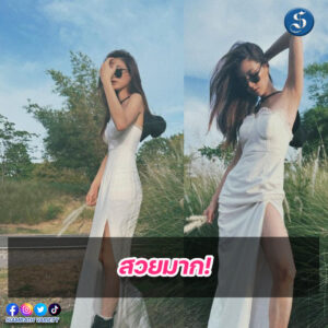 ใบเฟิร์น (3)