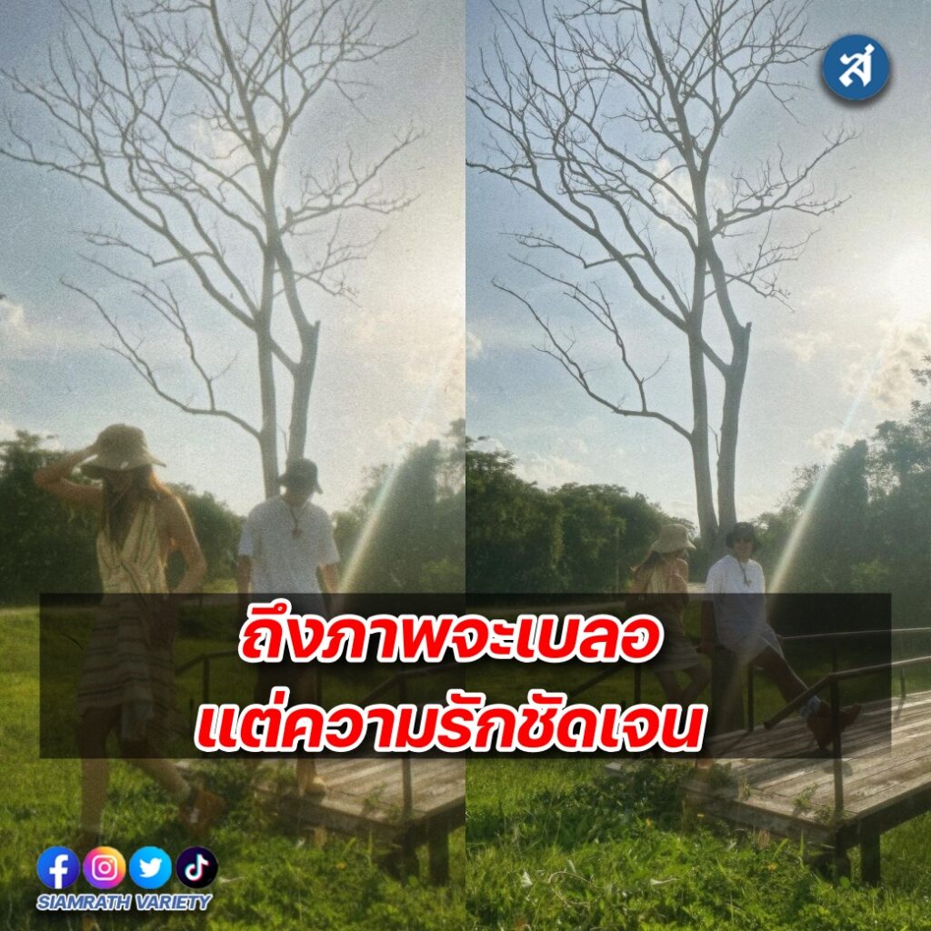 ใบเฟิร์นนายภาพเบลอปก