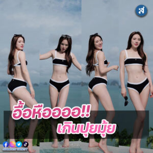 ปันปัน copy