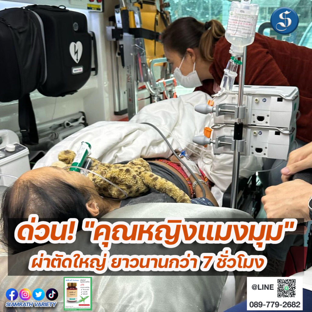 คุณหญิงแมงมุมผ่าตัด