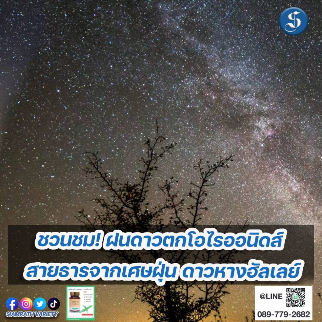 ดาวหางฮัลเลย์