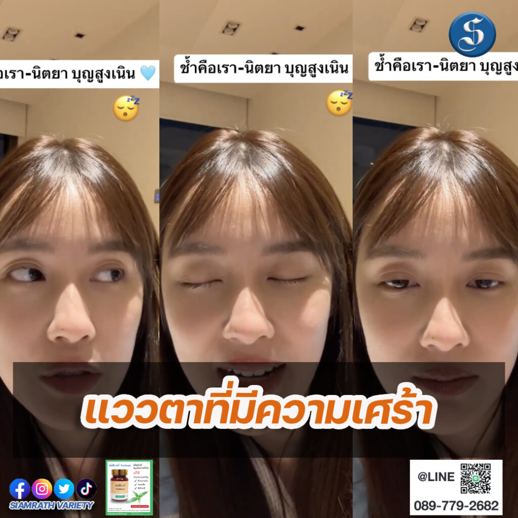 เก๋ไก๋ (1)