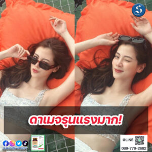 ใบเฟิร์น (3)