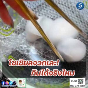 เต้าหูขน