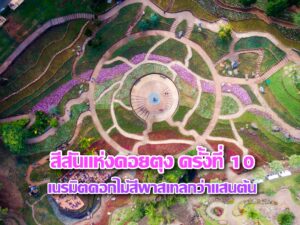 รูปภาพ ปกหน้า