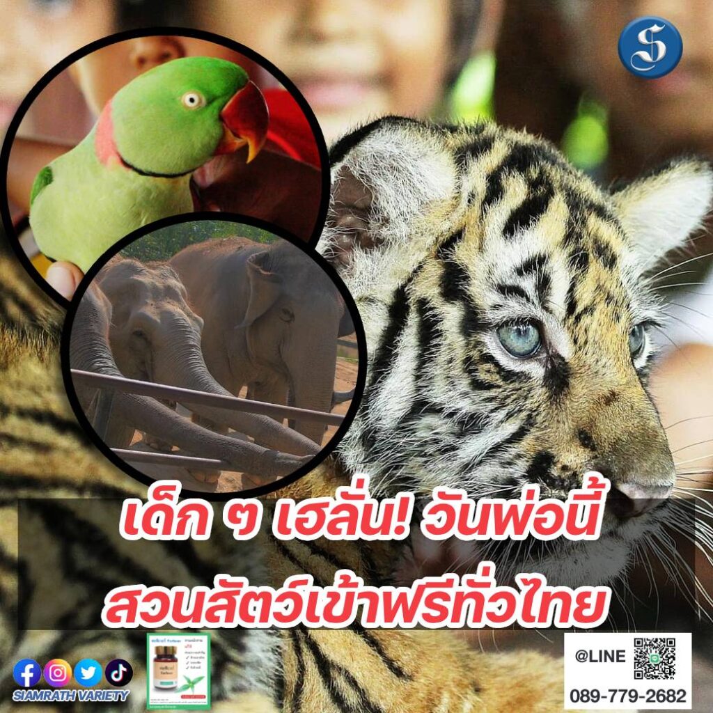 สวนสัตว์