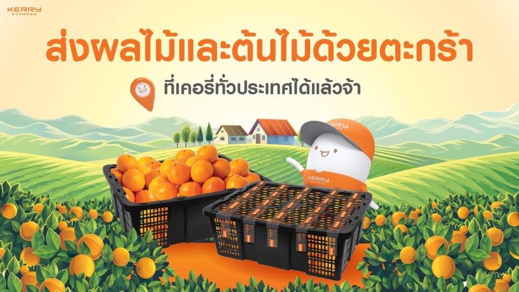 C9793224-DE18-4C5E-90D2-306BE396ED54