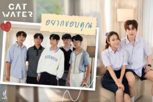cat water ใยไหม ปก