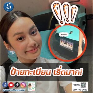 เก๋ไก๋ (1)