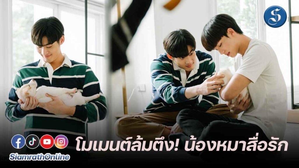 จูเนียร์ ฟลุค น้องหมา ปก