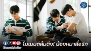 จูเนียร์ ฟลุค น้องหมา ปก