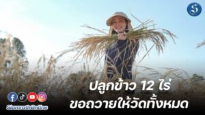 พี่ตั๊กบงกช