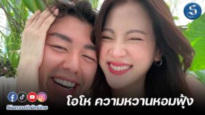 พี่นายพี่ใบเฟิร์น