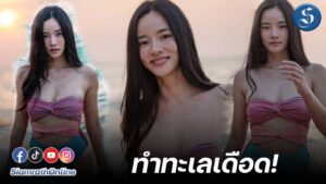 พี่วาววา