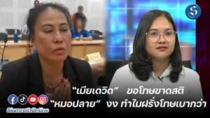 เมียเดวิด โหนกระแส ปก