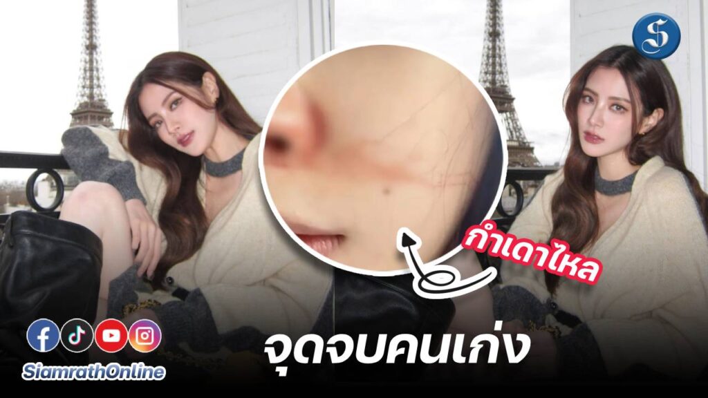 ใบเฟิร์น 2