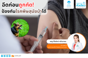 4FAB96CD-8B76-4AD9-A43C-BBFCEEF323BB